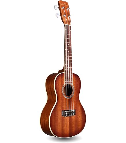 Amazon.com: Kala KA-CGE Gloss Mahogany Concert Ukulele with